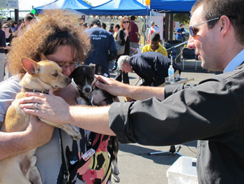 Local Episcopal Parishes UNITE to Fill the Gap of Food Donations  at Drive-thru Blessing of the Animals Event