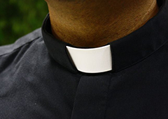 Curate and Interim Work Opportunities