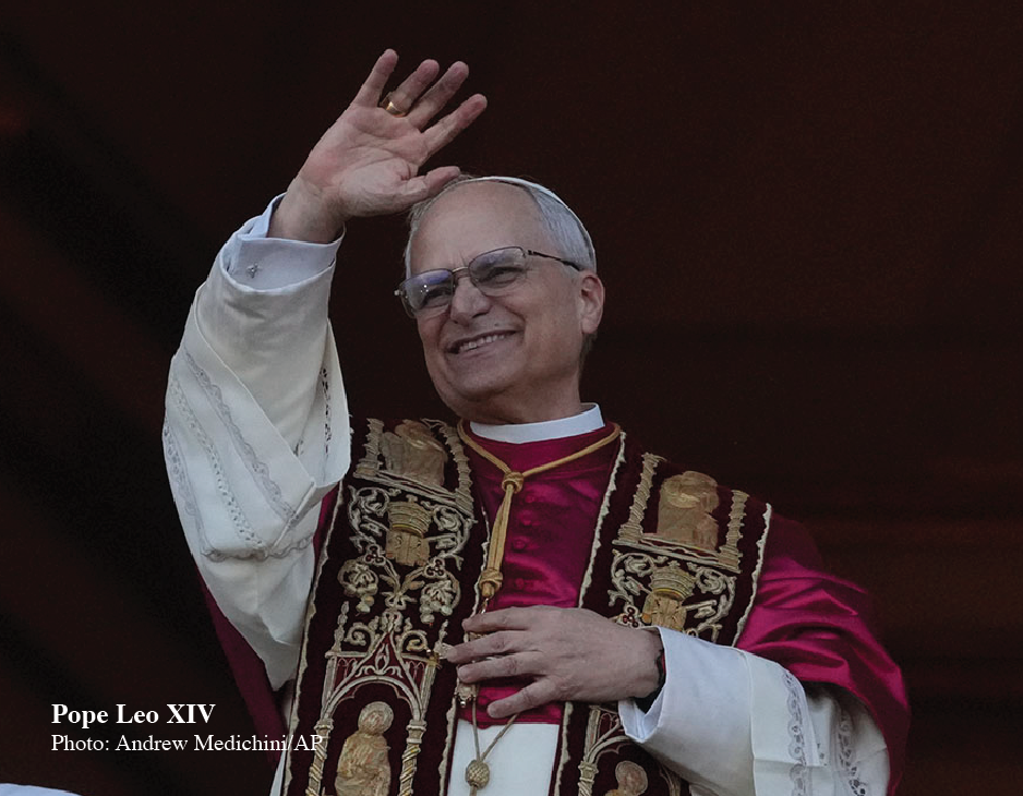 popeleo_web